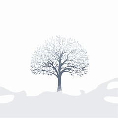 solitary tree in winter
