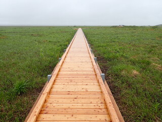 原野の遊歩道