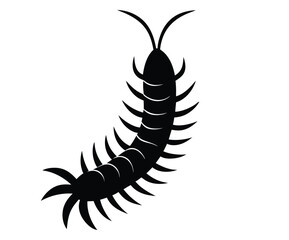 Black silhouette illustration of a centipede insect creature isolated on white background