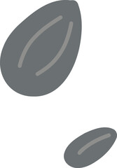 Sunflower Seeds