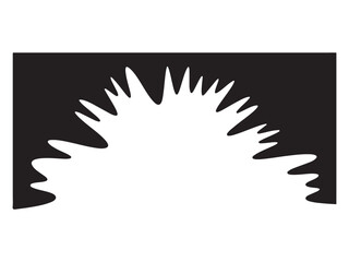 Abstract black and white explosion