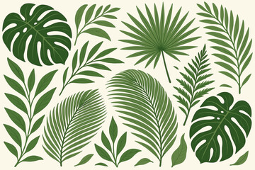 Set of tropical leaves illustration. Collection of exotic green jungle foliage. Monstera, palm, and fern leaves isolated on white background. Botanical vector design elements.