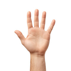 Open human hand with five fingers displayed on a neutral background for creative artistic projects and conceptual illustrations Transparent background or png