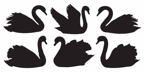 Swan silhouette vector art collection elegant bird illustration graphic design resource black and white swans