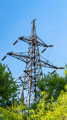 High Voltage Power Line Tower Against Blue Sky and Green Foliage