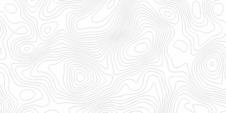 Black and white lines seamless Topographic map patterns, topography line map. Vintage outdoors style. The stylized height of the topographic map contour in lines and contours isolated on transparent.