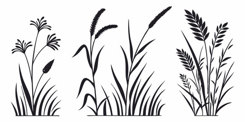 Vector graphics of grass plants silhouette for design elements and nature themed illustrations vector