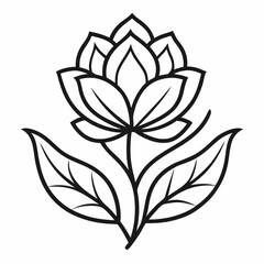 vector illustration of a flower