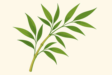 Fototapeta premium Vector illustration of a bamboo stalk with green leaves. Botanical drawing of a tropical Asian plant. Natural element for zen, spa, ecology, and relaxation concepts. Isolated.