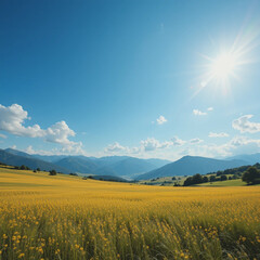 Obraz premium field of wheat 🌾