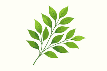 Fototapeta premium Green branch with leaves vector illustration. Botanical plant element isolated on white background. Elegant foliage for eco design. Fresh spring nature and organic growth concept.