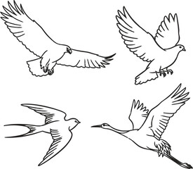 Obraz premium Line art illustrations of flying birds including an eagle dove swallow and crane in minimalist black and white design.