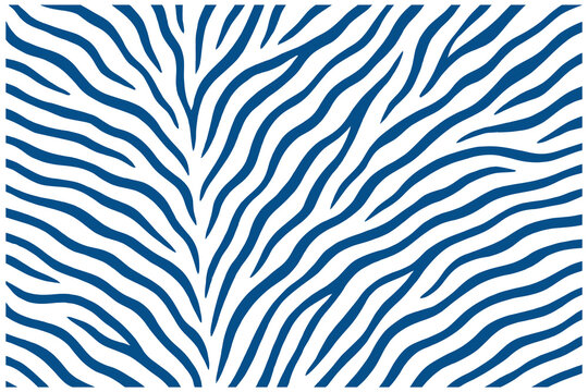 Abstract zebra stripe pattern vector background in blue and white.