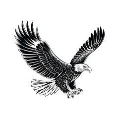 Black and White Vector Illustration of Bald Eagle Attacking with Wings Spread on White Background
