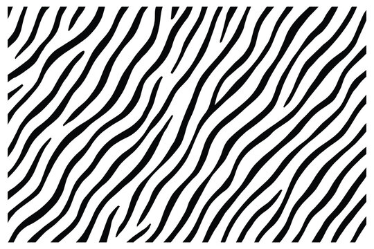 Abstract zebra stripe pattern vector background in black and white.