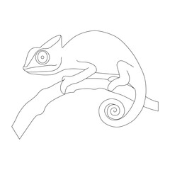 Chameleon line art vector design. Chameleon outline illustration design.