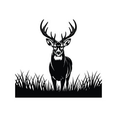 Silhouette of Stag with Antlers Standing in Tall Grass on White Background