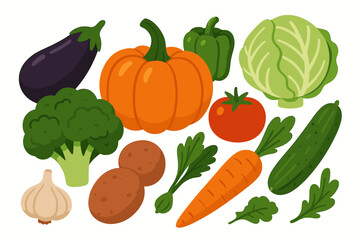 Organic vegetable set illustration. Fresh farm food collection with pumpkin, carrot, tomato, potato, eggplant, cabbage, broccoli, cucumber, pepper. Healthy diet icons vector.