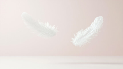 Obraz premium White feather floating in the air, pink background. Dreamlike moment with flying feathers. 