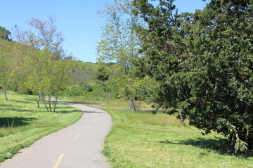 Road in the park with green grass, trees and blue sky.