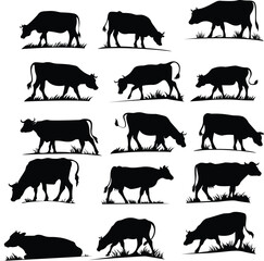 Farm Life in Shadow Cow Silhouette on Horizon