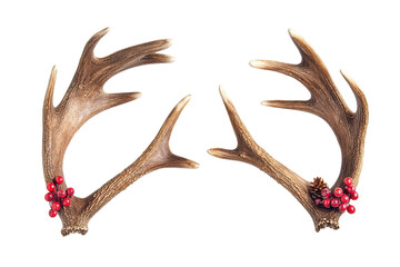 Fototapeta premium Reindeer antlers with decorative berries and pinecones isolated on a white background set in a festive winter theme