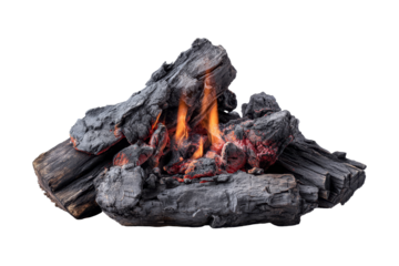 Indoor firewood display close-up