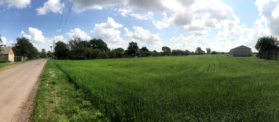 Green fields under a bright sky near a rural road