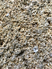 Unique surface texture showing natural patterns and colors