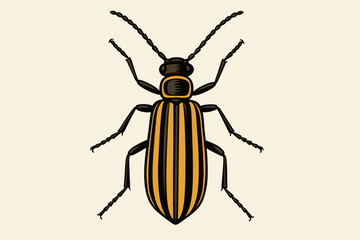 Striped blister beetle vector illustration. Epicauta vittata insect drawing isolated on a light background. Top view of a yellow and black striped bug for entomology or biology.