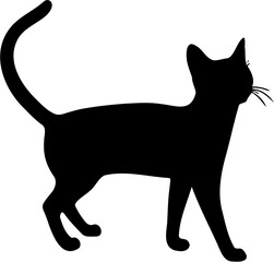 cat vector illustration, isolated on white