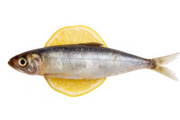 Sardine with Lemon