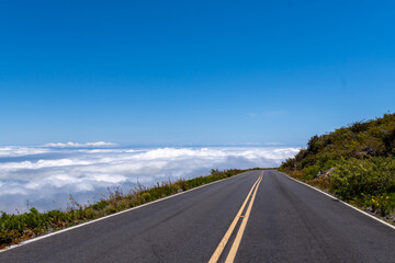 Road above the clouds under a blue sky, with vegetation on either side.