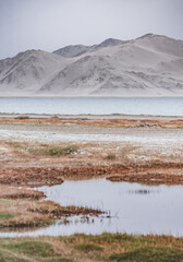 Grass and stone shore of Lake Karakul with blue water and mountain peaks in the background, cloudy weather and sky with clouds and clouds in the Pamirs, panoramic landscape