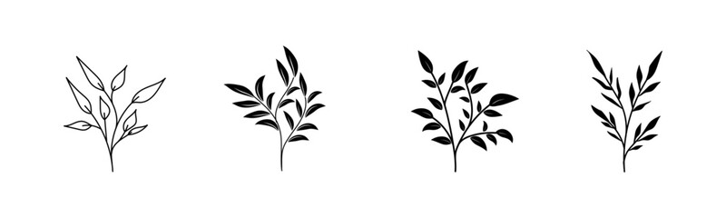 Botanical Line Art floral flower