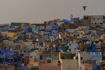 view of the houses from Blue City Jodhpur. A bird is flying over the houses.