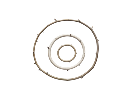 Concentric Circles of Natural Branches and Smooth White Rings on Black