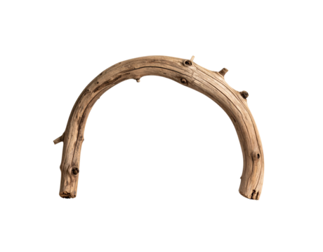 Curved weathered branch with protruding stubs and visible wood grain