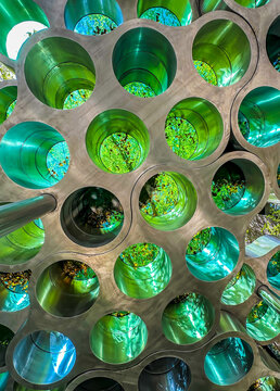 Miami, USA - February 19, 2025: Close up of Nuage, an organic pergola designed by Ronan and Erwan Bouroullec that brings shade, shelter, seating; Miami Design District