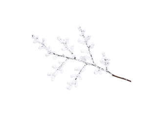 Fototapeta premium Frosted branch with crystalline snow winters delicate touch on natures artwork
