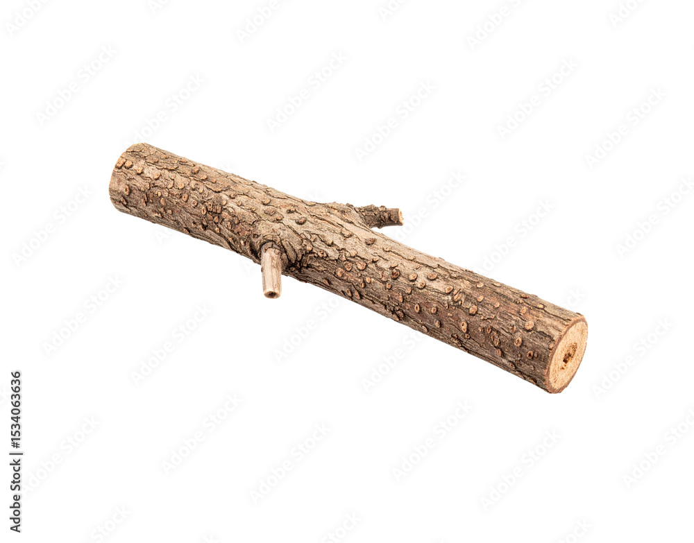 Poster isolated weathered log with textured bark and small branch stubs angled view