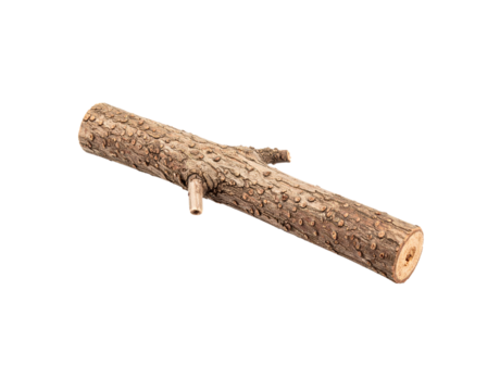 Isolated weathered log with textured bark and small branch stubs angled view