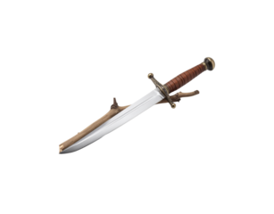 Medieval Sword with Leather Grip Resting on a Branch Polished Blade