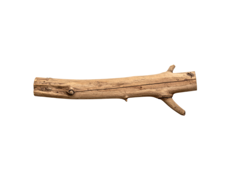 Weathered wooden branch with small offshoots and textured bark detail