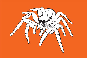 White spider crawling on ORANGE background