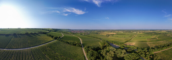 Oppenheim am Rhein with vineyards and St. Catherine's Church, panorama drone shot in summer