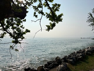 Gardasee im Sommer, Abendstimmung, Ufer und Baum 