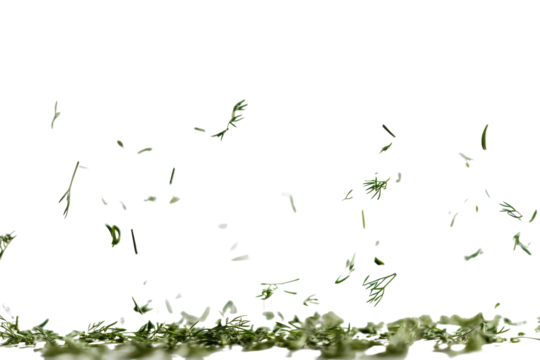 Sprigs of fresh dill scattering in the air on a white background creating a dynamic culinary vibe in a kitchen setting during daytime preparation