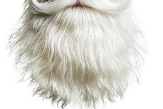 White lush beard of Santa Claus captured against a clean white backdrop emphasizing festive joy and holiday spirit during winter celebrations