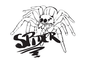 White spider crawling on WHITE background